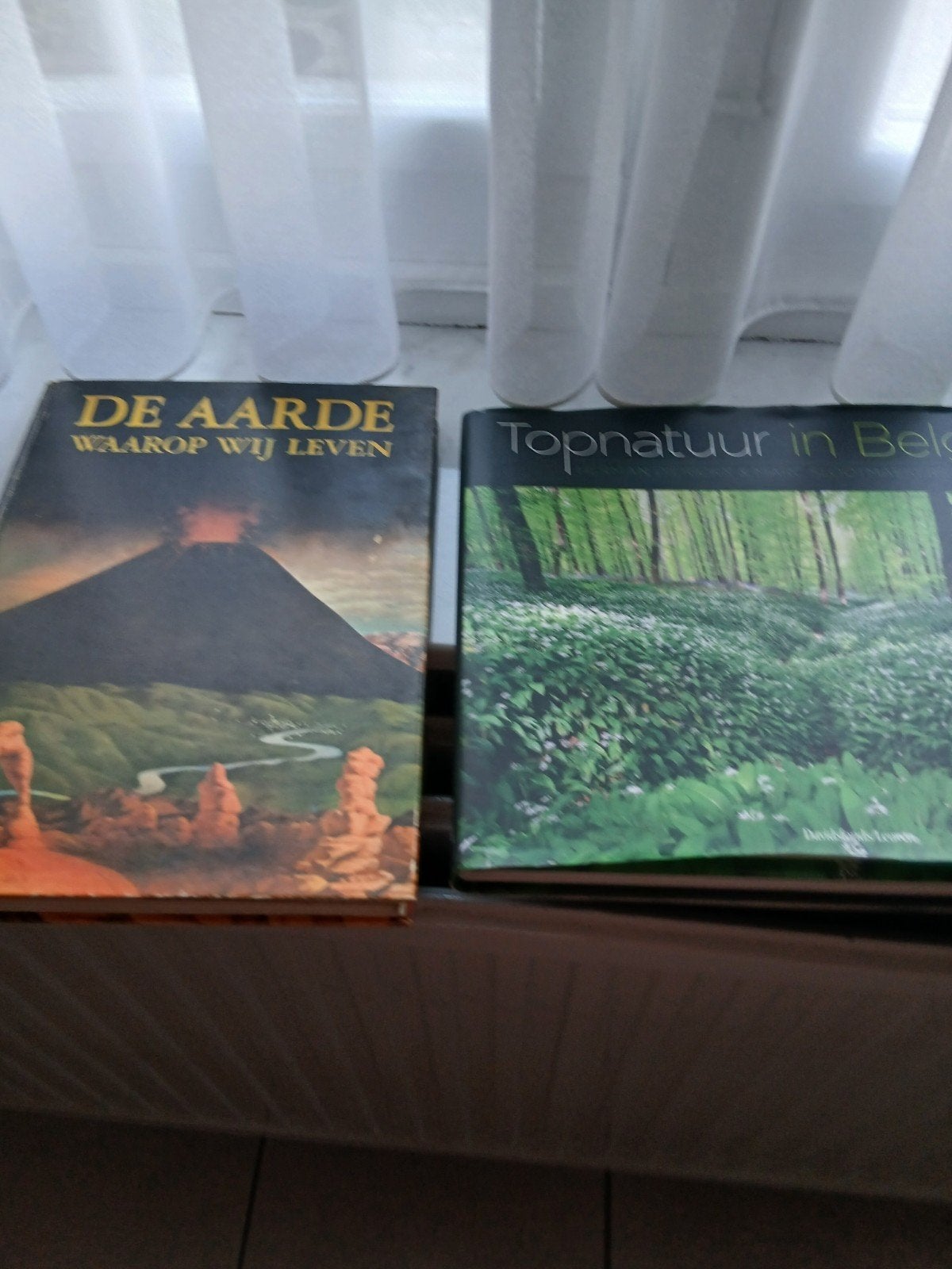Hele partij boeken te koop, Ophalen