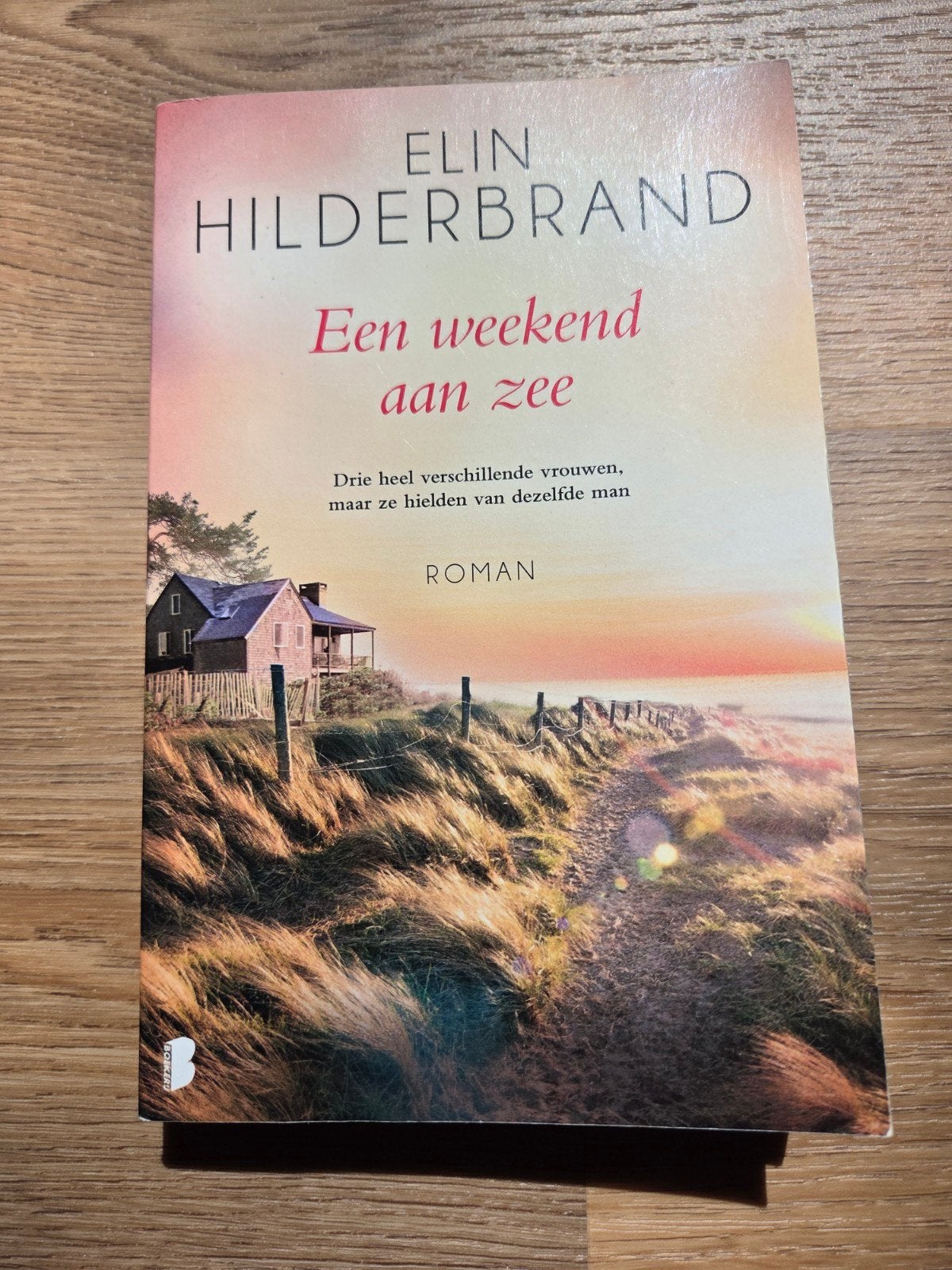Elin Hilderbrand - Een weekend aan zee, Livres, Chick lit, Enlèvement ou Envoi