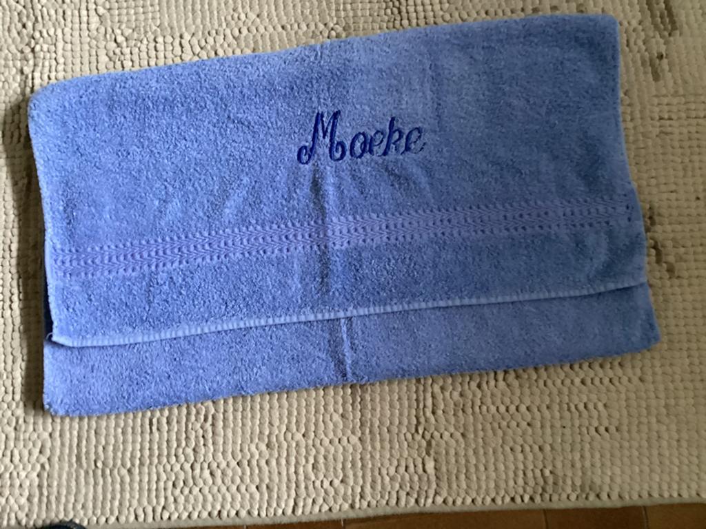 Badhanddoeken, Ophalen, Zo goed als nieuw, Blauw, Handdoek