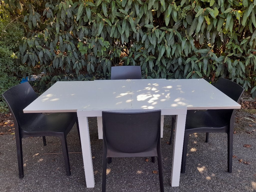 tafel stoelen, Huis en Inrichting, Tafels | Eettafels, Ophalen, Zo goed als nieuw, Vijf personen of meer