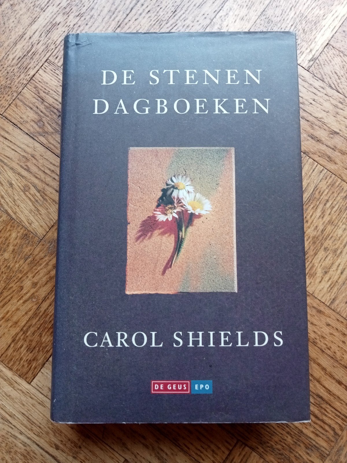 Carol Shields: De stenen dagboeken, Ophalen of Verzenden, Gelezen