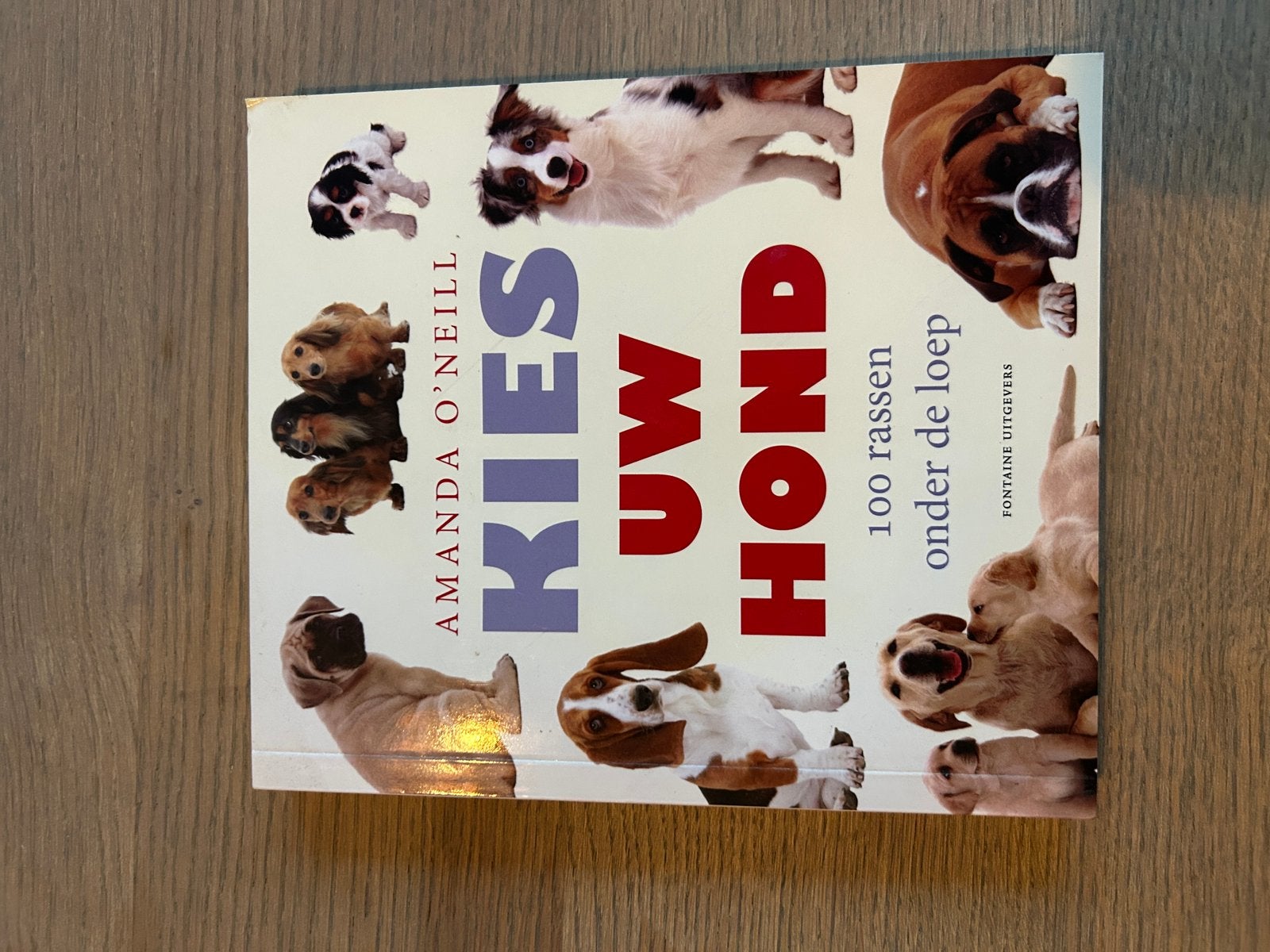 Amanda O Neill - Kies uw hond, Livres, Animaux & Animaux domestiques, Enlèvement ou Envoi, Chiens, Amanda O Neill