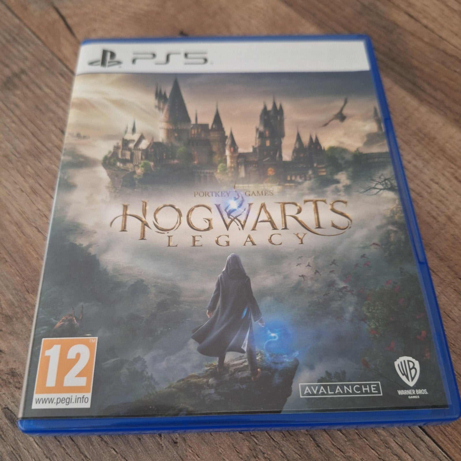 Hogwarts Legacy PS5, Games en Spelcomputers, Games | Sony PlayStation 5, Ophalen