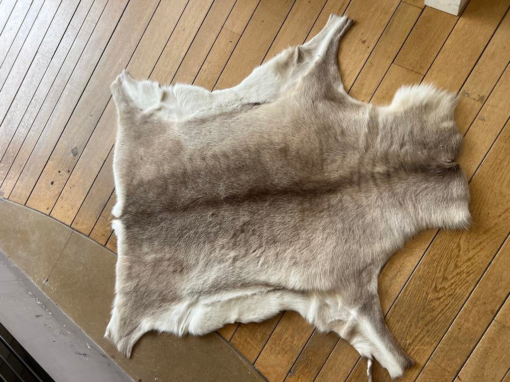 Tapis en fourrure de renne, Enlèvement, Comme neuf