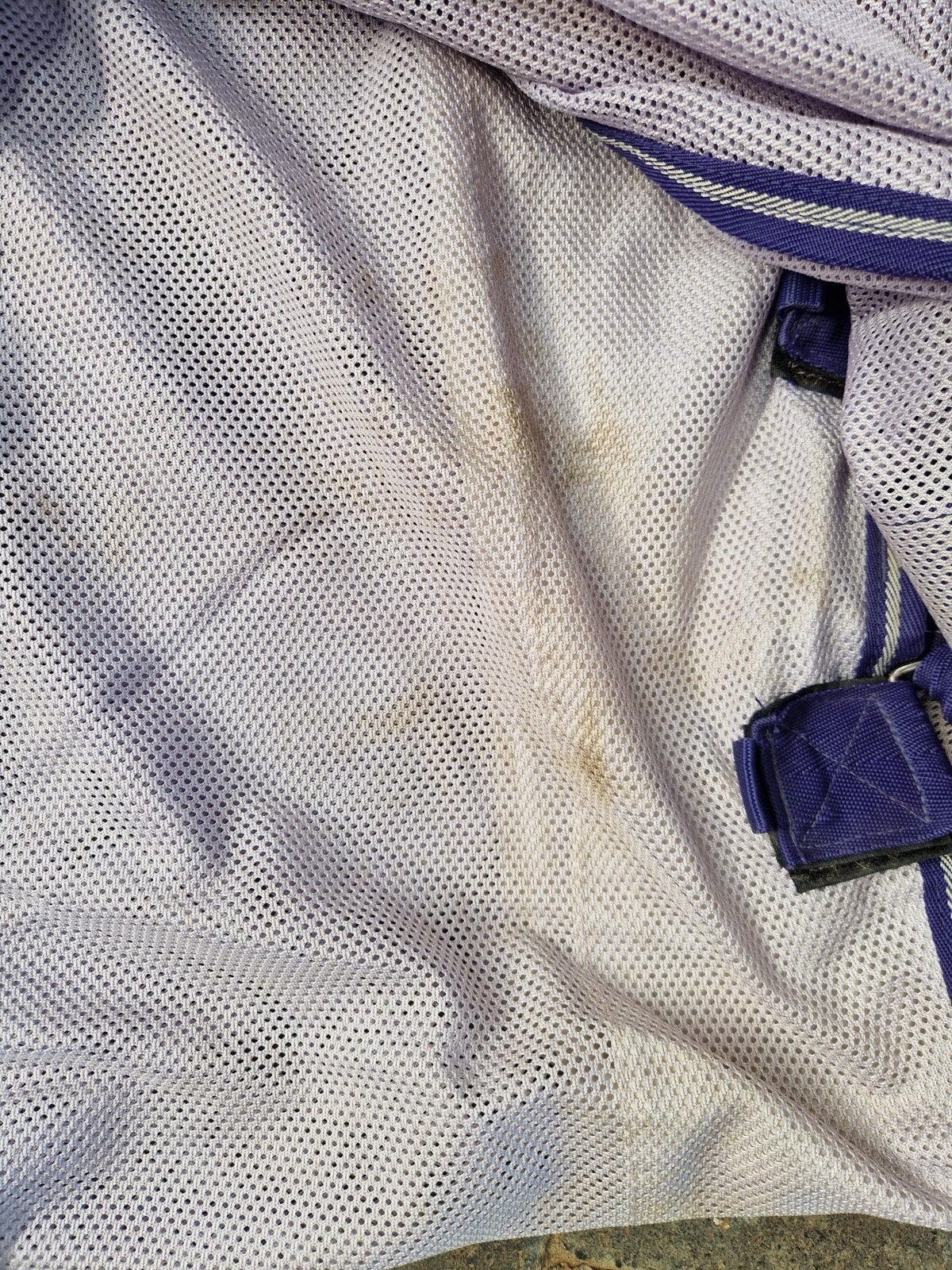 Horseware vliegendeken, Ophalen of Verzenden, Deken, Amigo