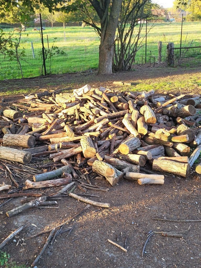 Bois de chauffage (50euros pour tout), 3 à 6 m³, Enlèvement, Autres essences de bois, Troncs d'arbres