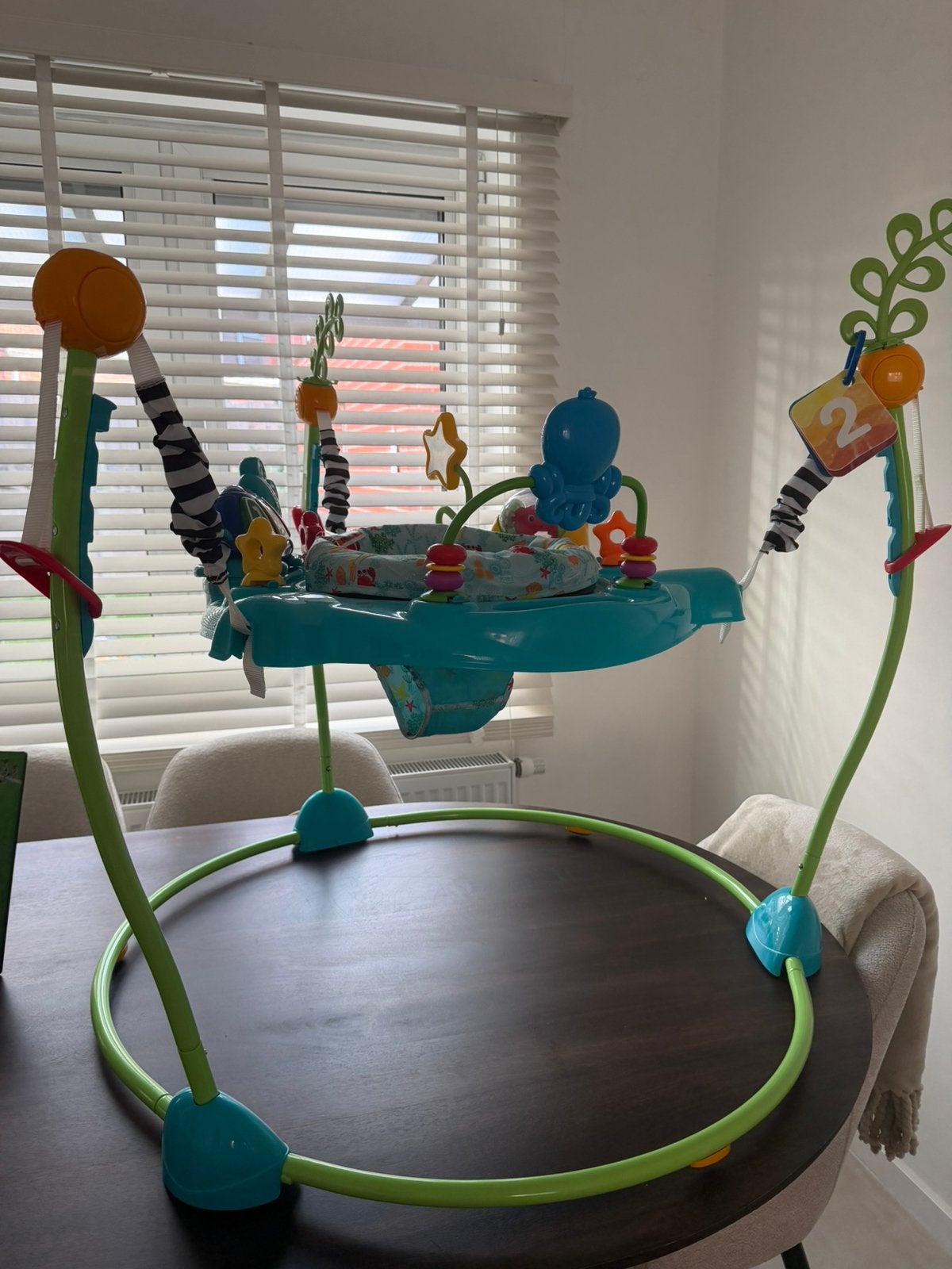 Baby Einstein jumper nieuwstaat, Ophalen