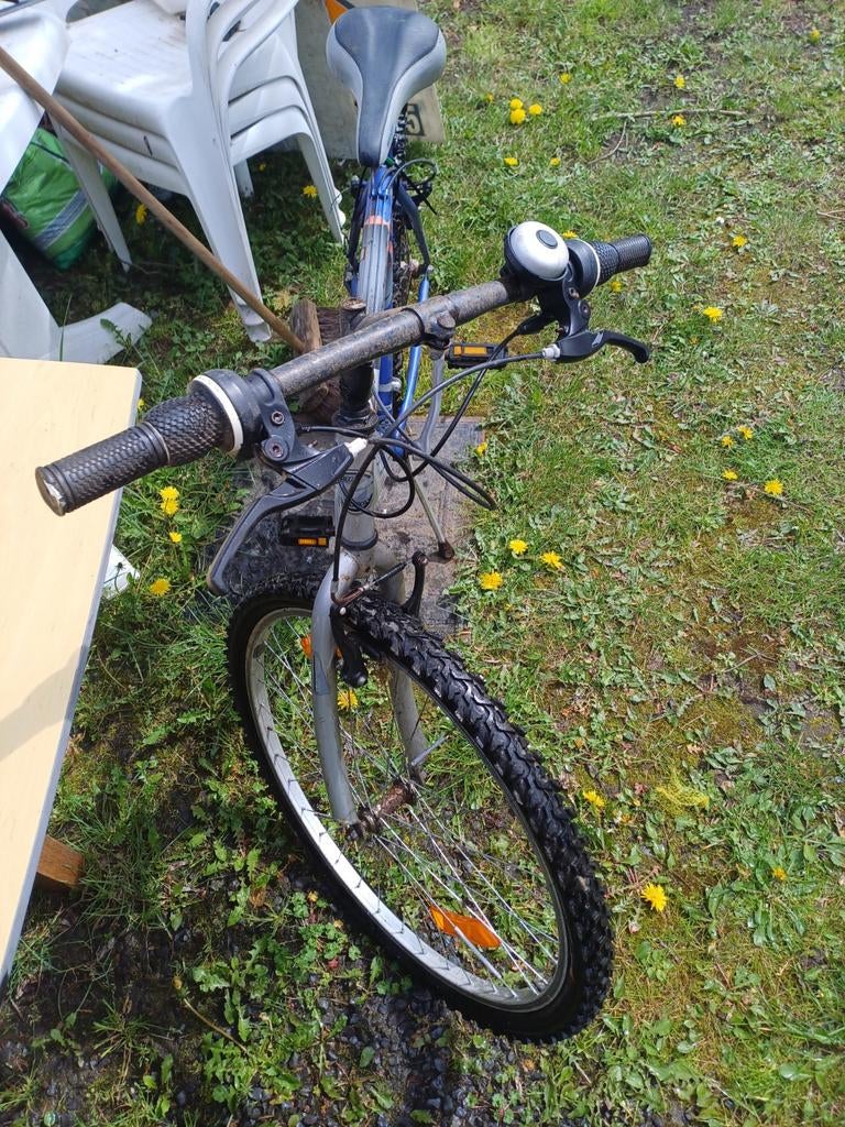 Mountainbike, Fietsen en Brommers, Ophalen