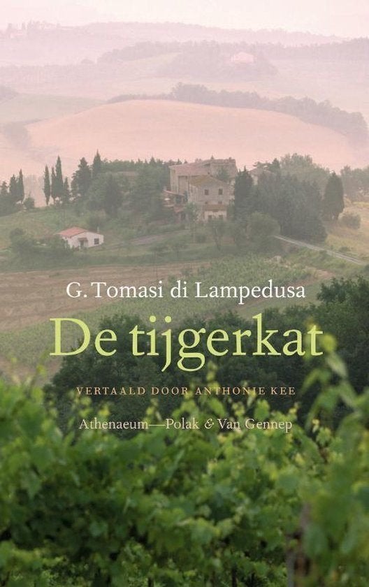 Te Koop Boek DE TIJGERKAT G.Tomasi di Lampedusa, Gelezen, Europa overig, Ophalen of Verzenden, G.Tomasi di Lampedusa