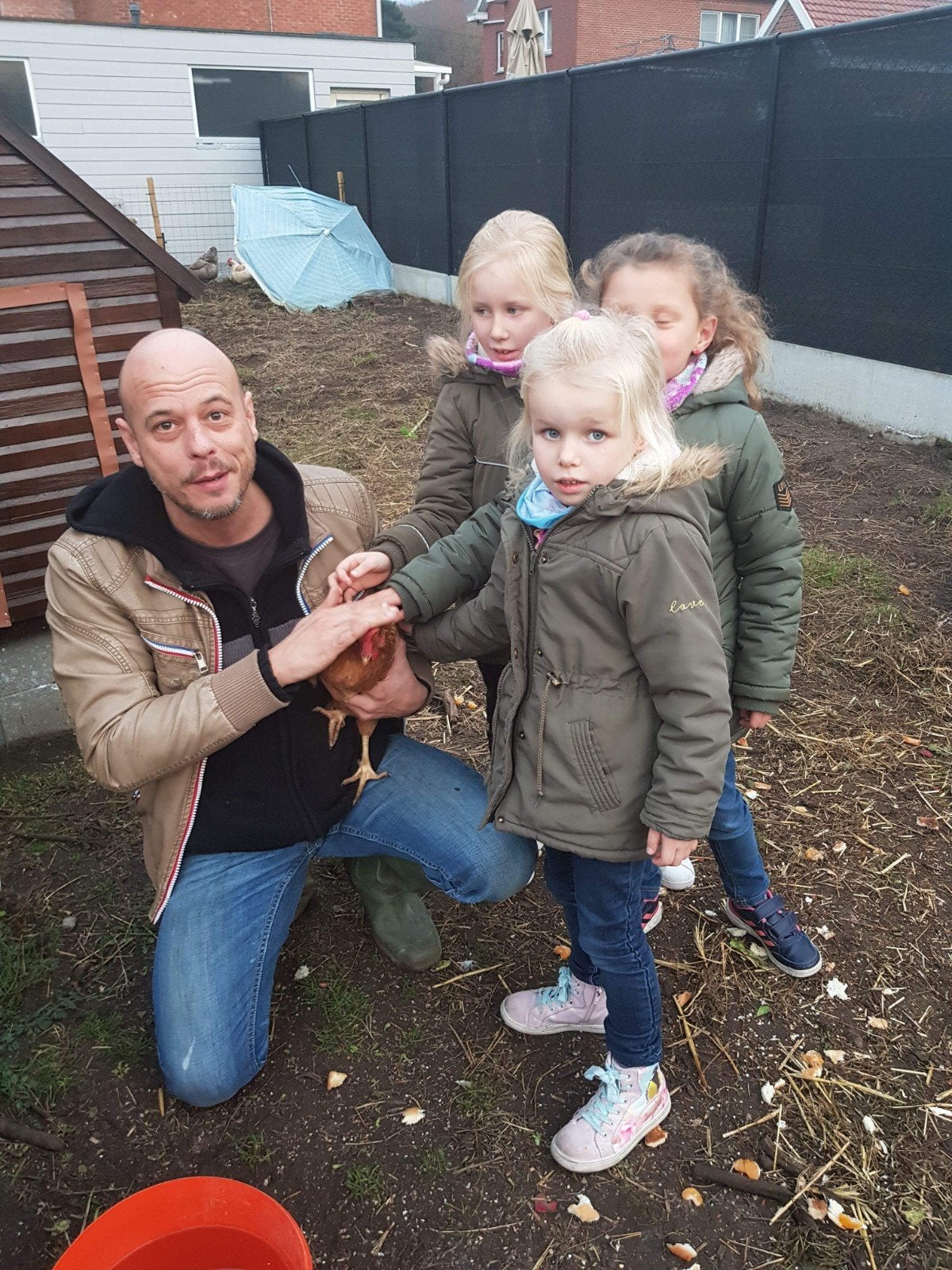 Dagverse Eitjes van gelukkige kipjes Molenstede Lees Beschr., Diversen, Ophalen