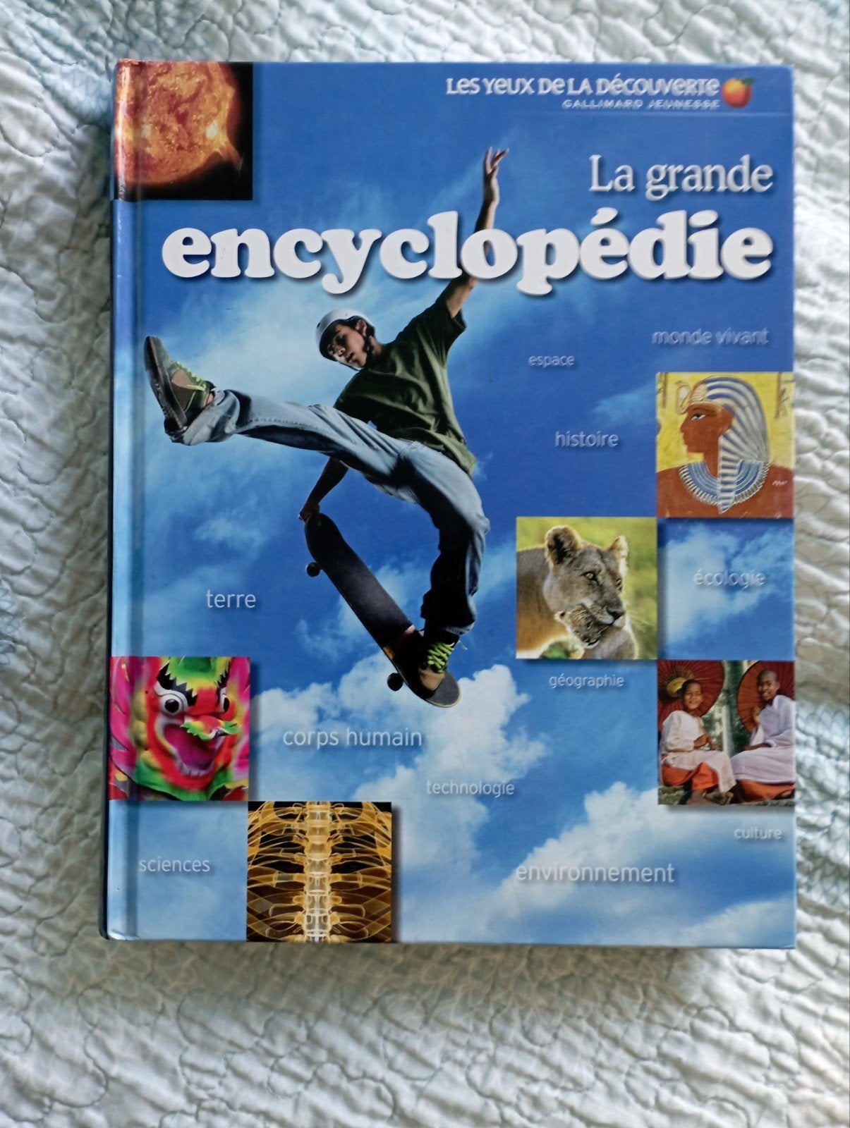 La grande encyclopédie, Livres, Enlèvement, Comme neuf, Gallimard Jeunesse, Non-fiction