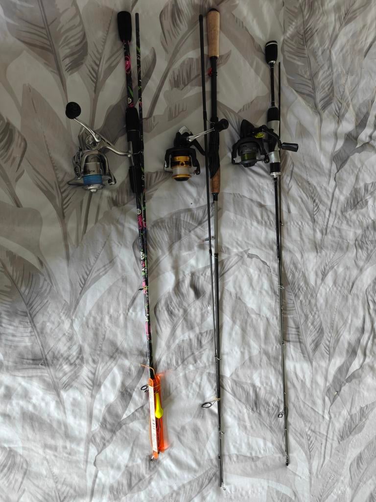 A vendre canne a pêche truite ou carnassiers, Enlèvement, Neuf, Ensemble complet