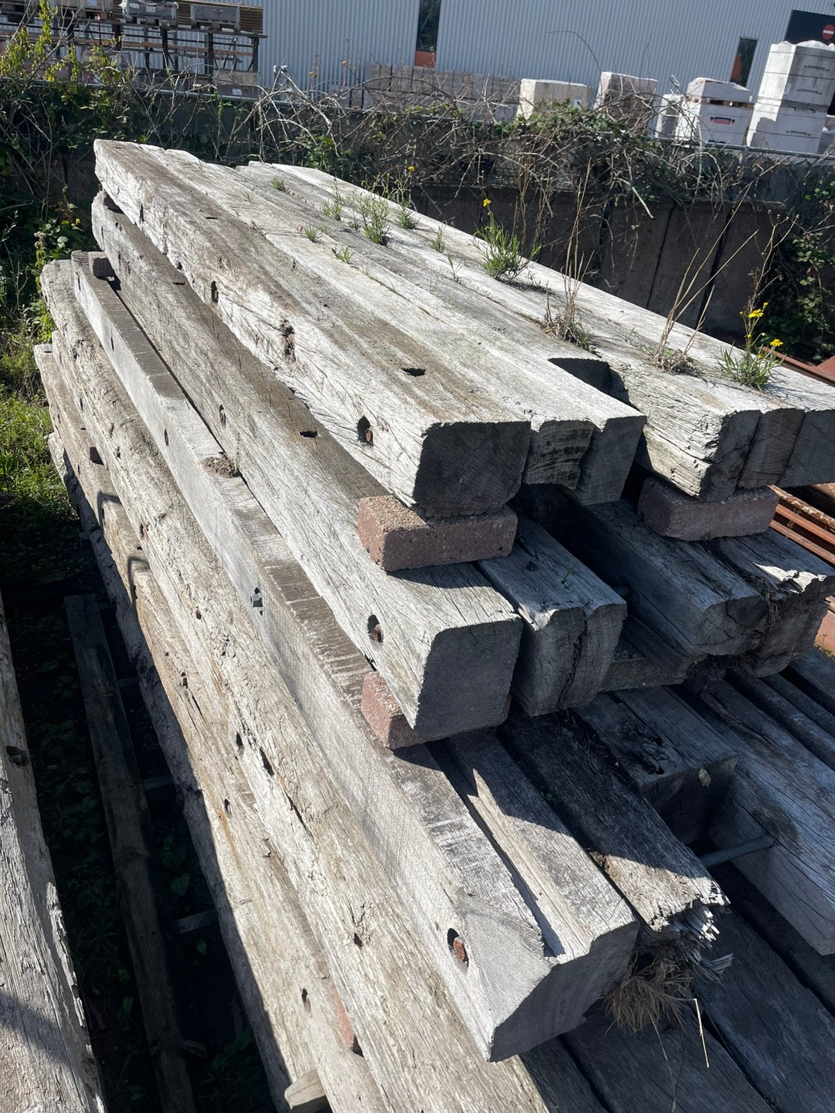 Azobe schotten, Ophalen of Verzenden, Gebruikt, 250 cm of meer, Planken