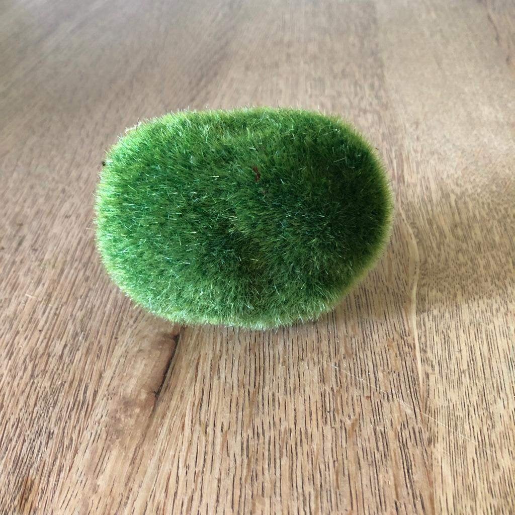 bloemschikdingetje mos, Ophalen of Verzenden, Zo goed als nieuw, Knutselmateriaal