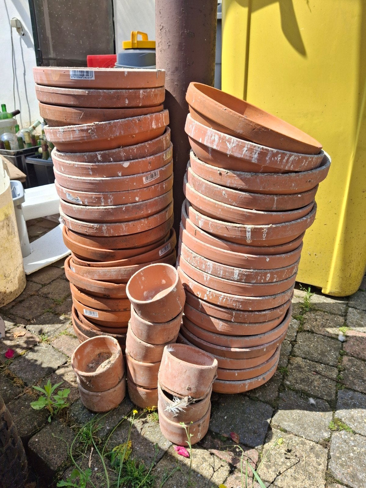 Broedschalen voor duiven