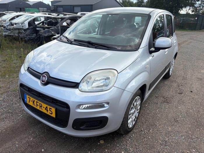 Capot d'un Fiat Panda (565), -, 3 mois de garantie, Utilisé, Fiat