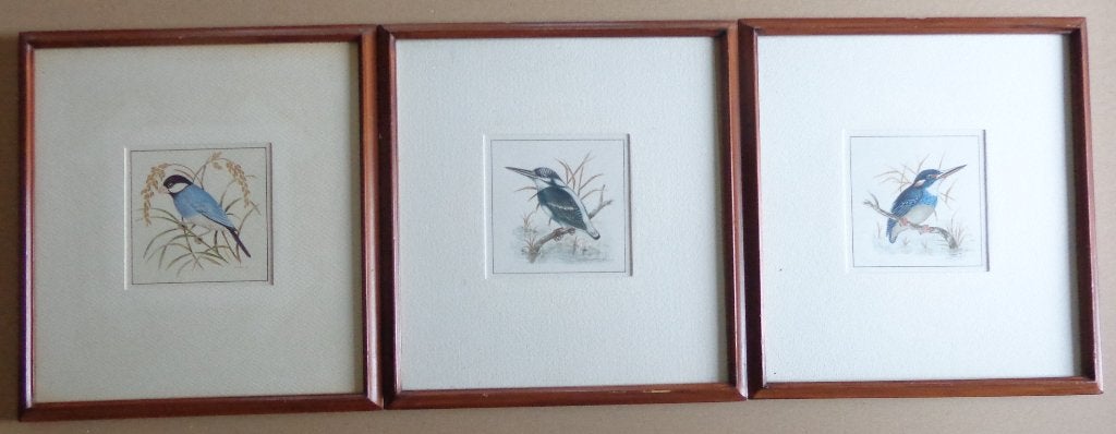 JACOBS / LOT 3 STUKS / VOGELS / ORIGINEEL / 31x29cm / KADER, Antiek en Kunst, Aquarel, Papier/karton, Ophalen of Verzenden, Dieren