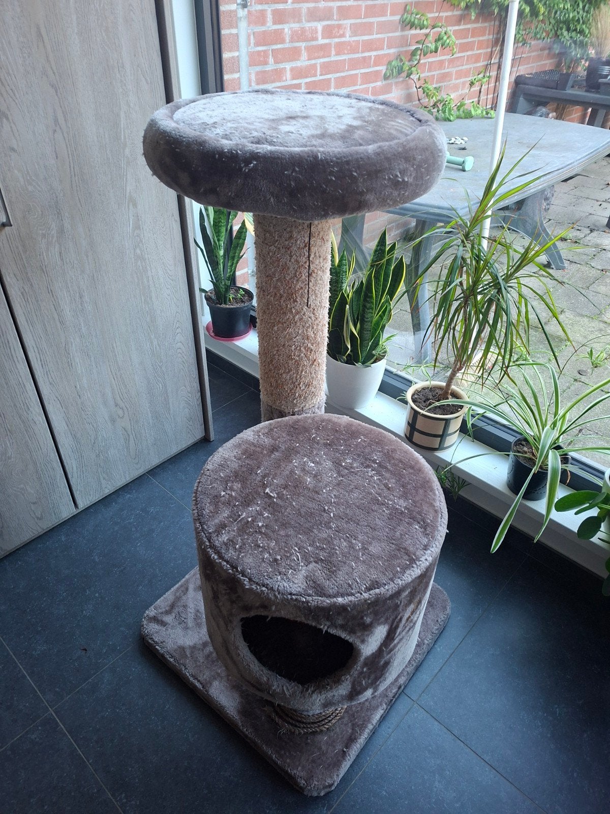 kattenpaal, Dieren en Toebehoren, Ophalen