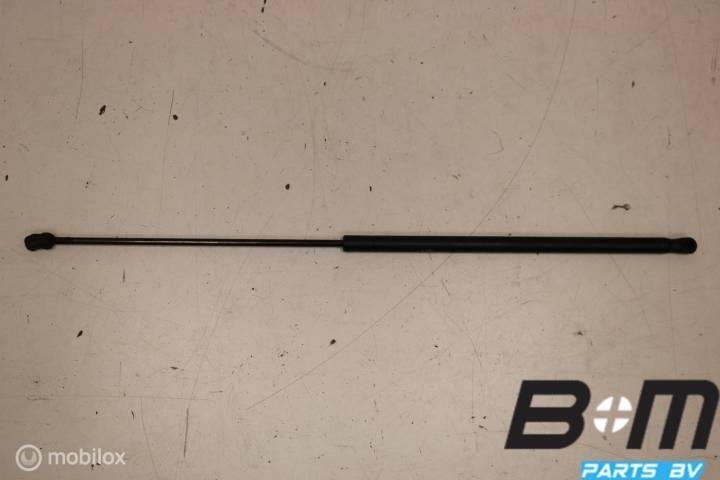Gasdrukveer voor motorkap Audi A4 8E 8E0823359A, Gebruikt