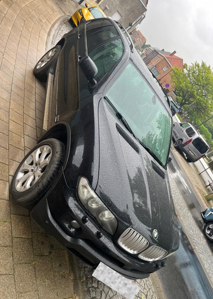 Bmw X5 LICHTE VRACHT!, Achat, X5, Diesel, Automatique