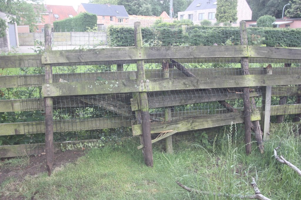 Gratis Palen En Planken Met Draad, Tuin en Terras, Ophalen, Gebruikt, Palen