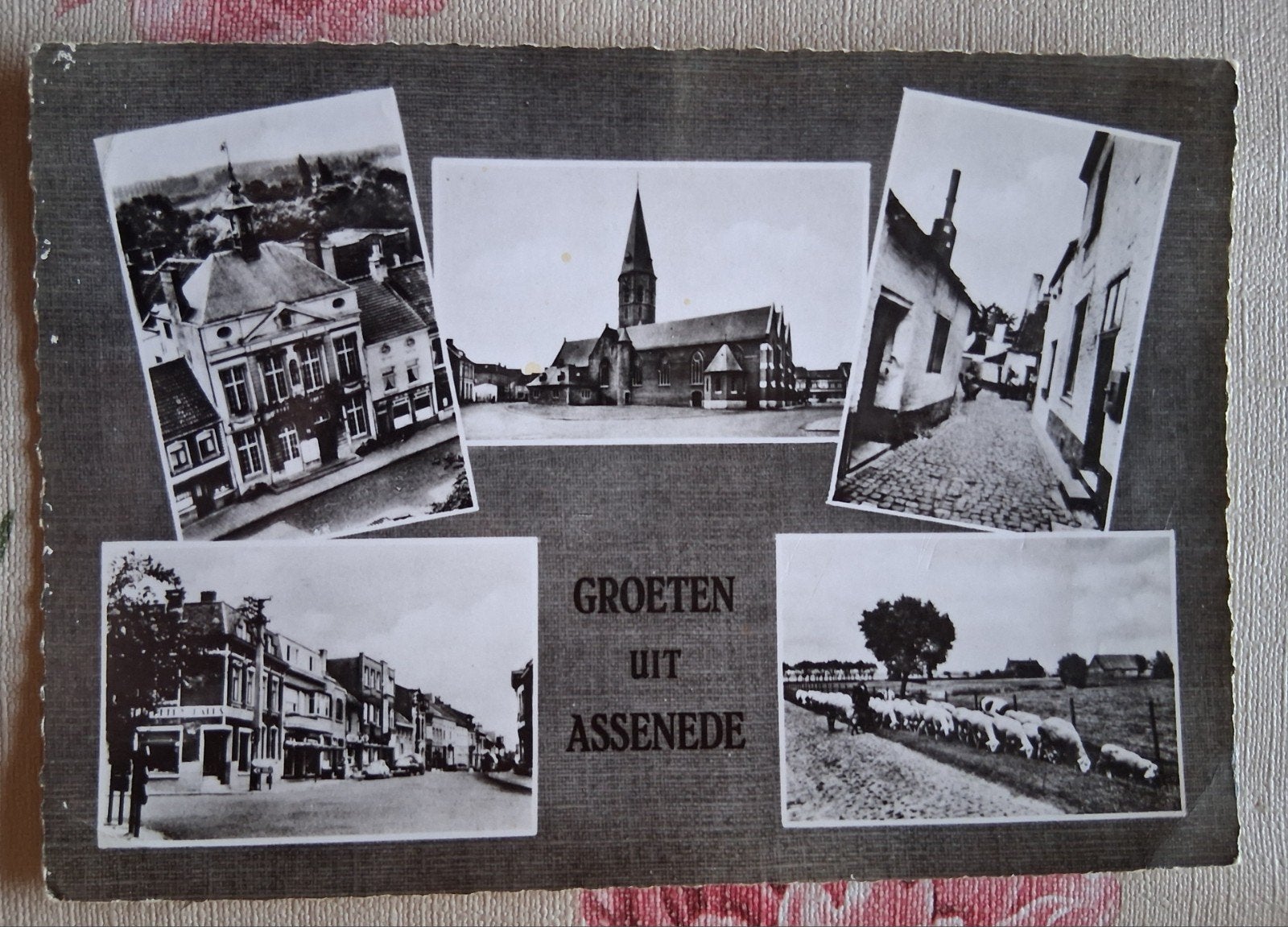 vintage Postkaart Assenede, Ophalen of Verzenden
