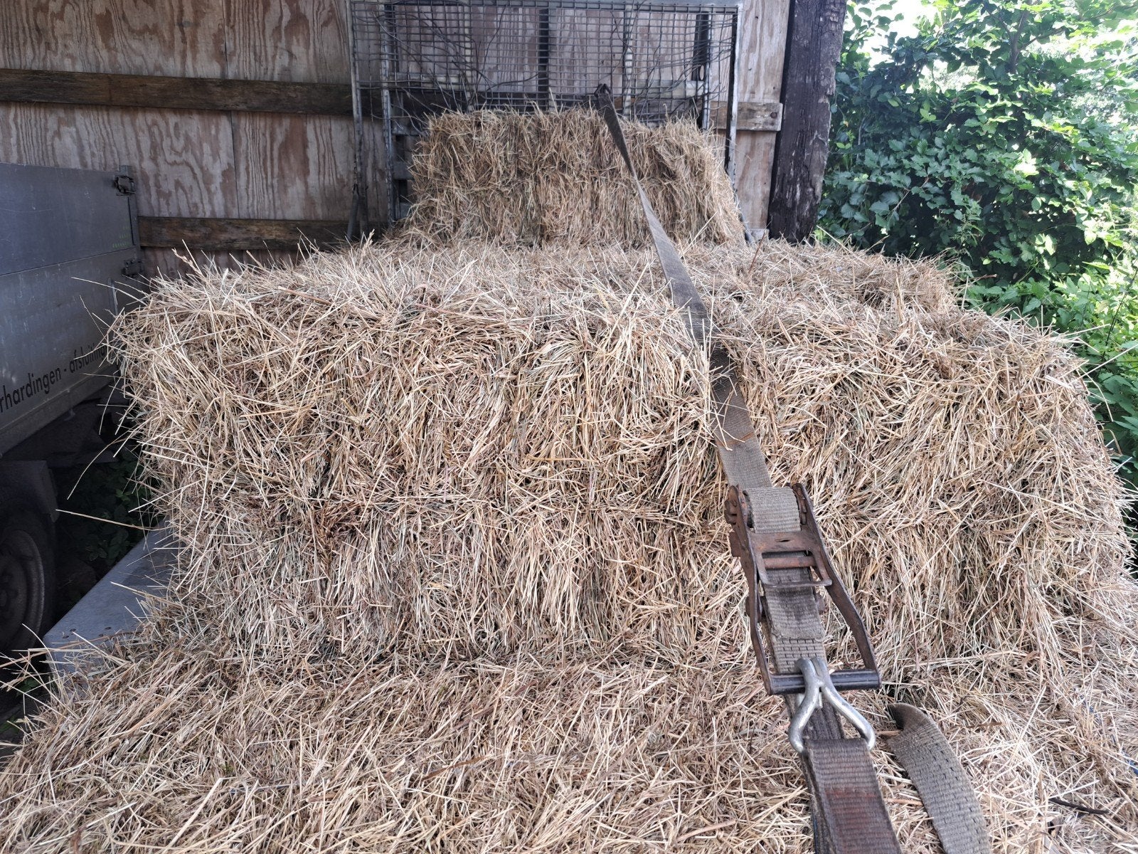 hooi voor paarden, Ne s'applique pas