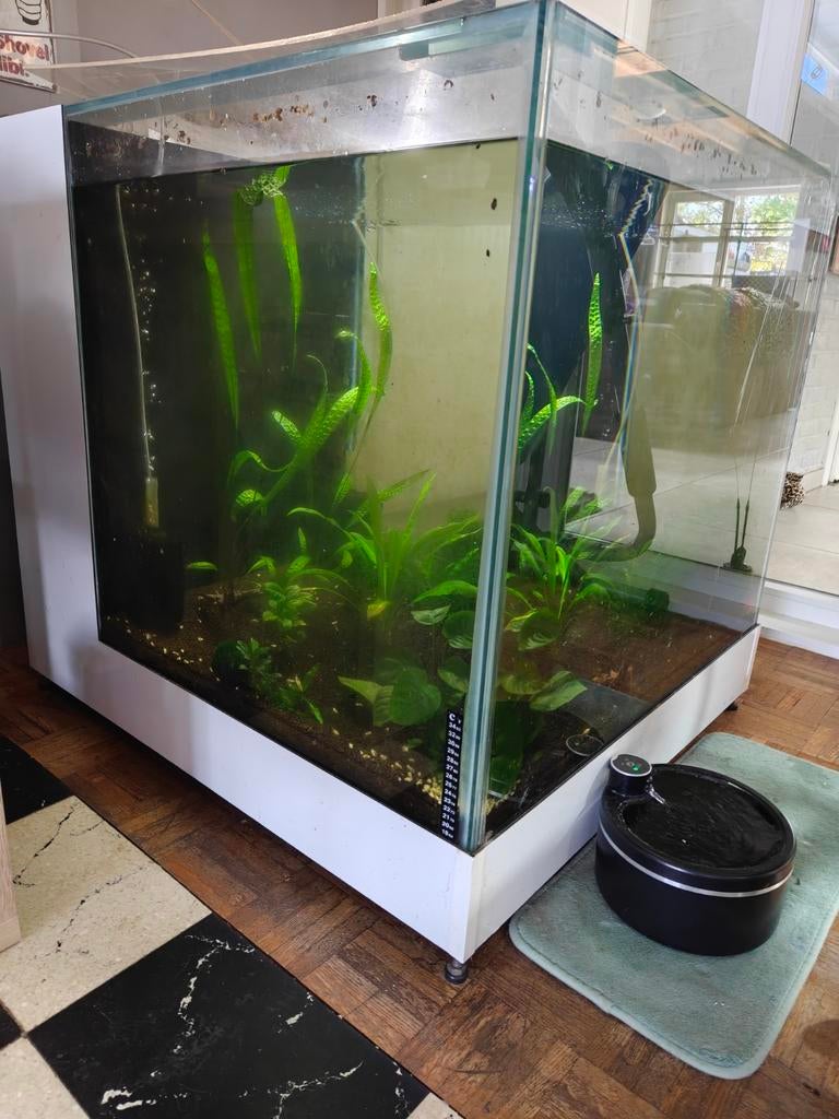 Kubus aquarium, Dieren en Toebehoren, Vissen | Aquaria en Toebehoren, Ophalen