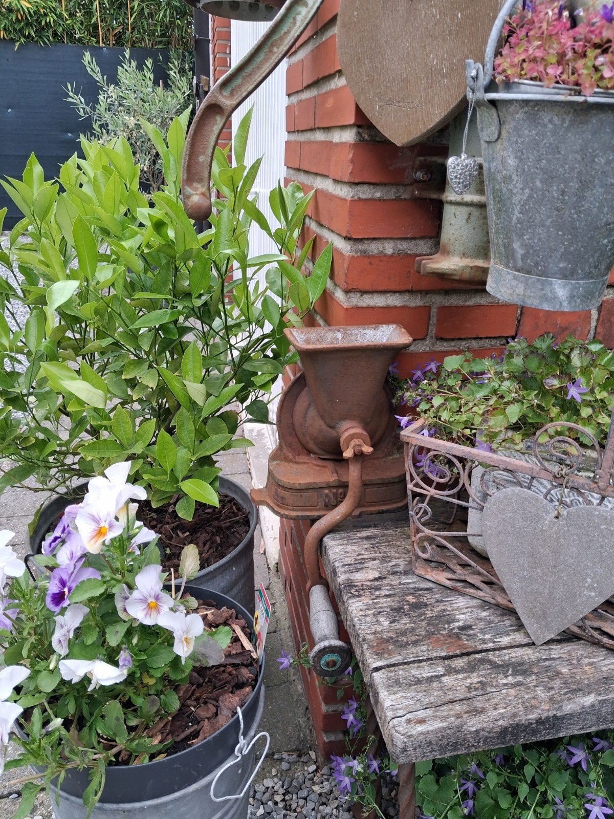 Pompe à eau et moulin à viande anciens patiné, Jardin & Terrasse, Enlèvement