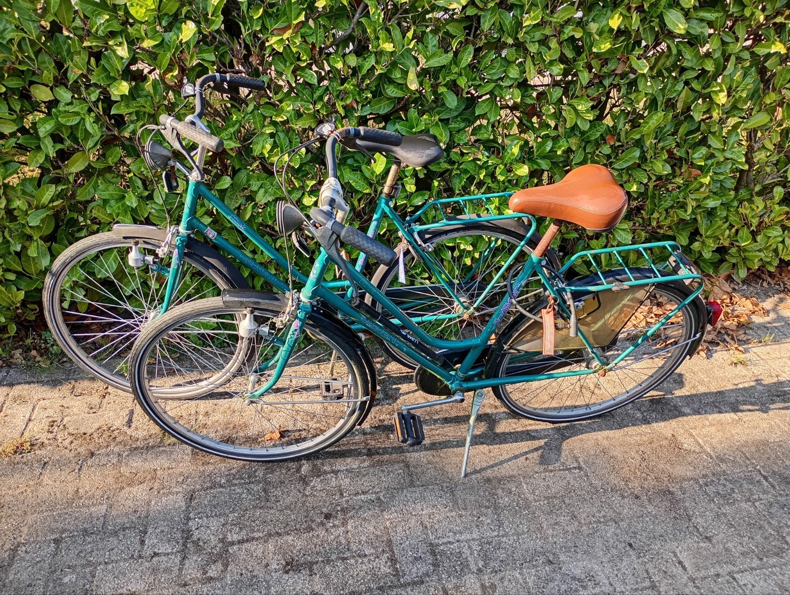 Fietsen l'avenir 26 inch wielen, Ophalen