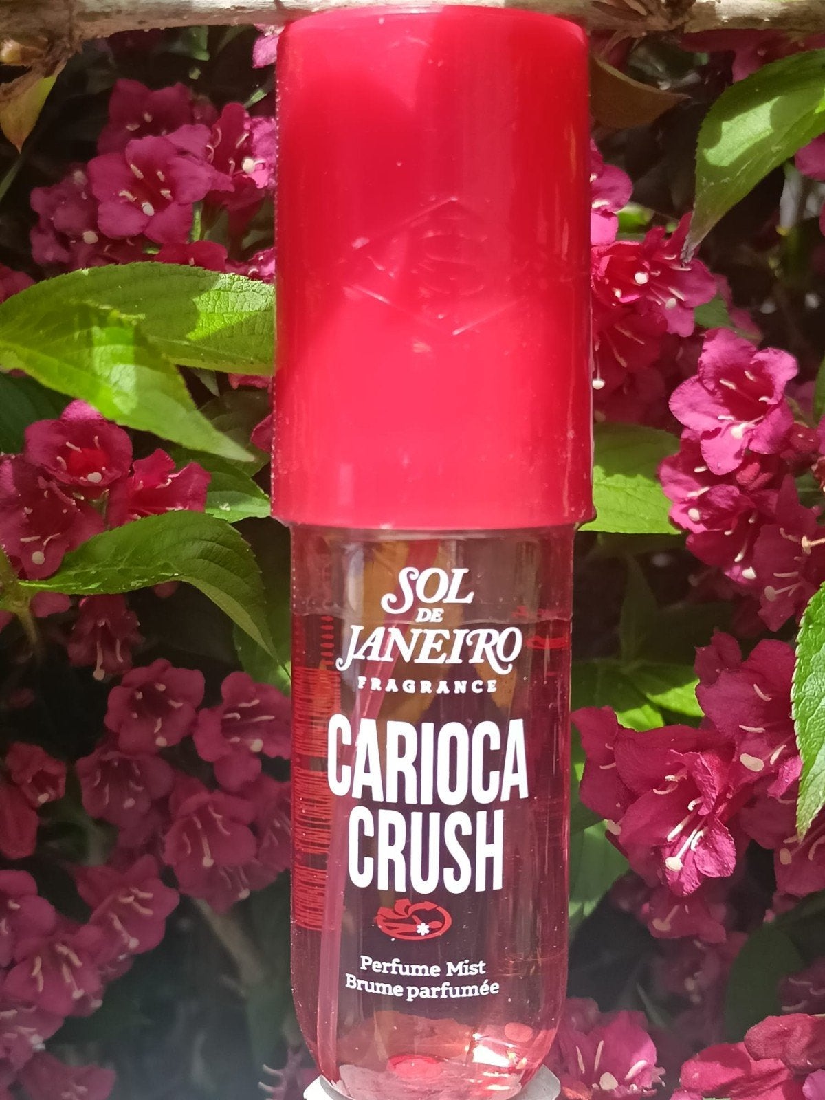 sol de janeiro parfum brume 90ml, Enlèvement ou Envoi