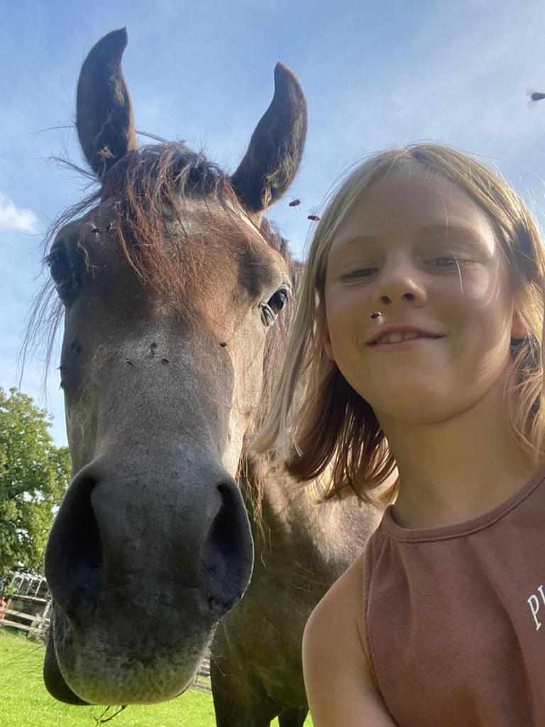 D pony te koop