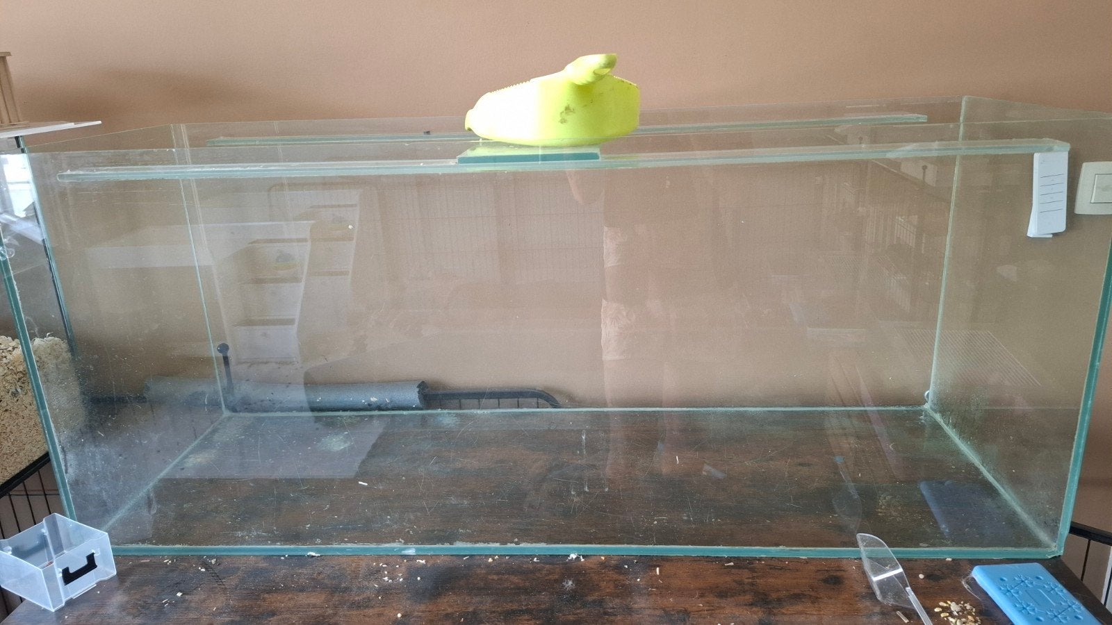 Aquarium, terrarium pour hamsters,, Animaux & Accessoires, Enlèvement