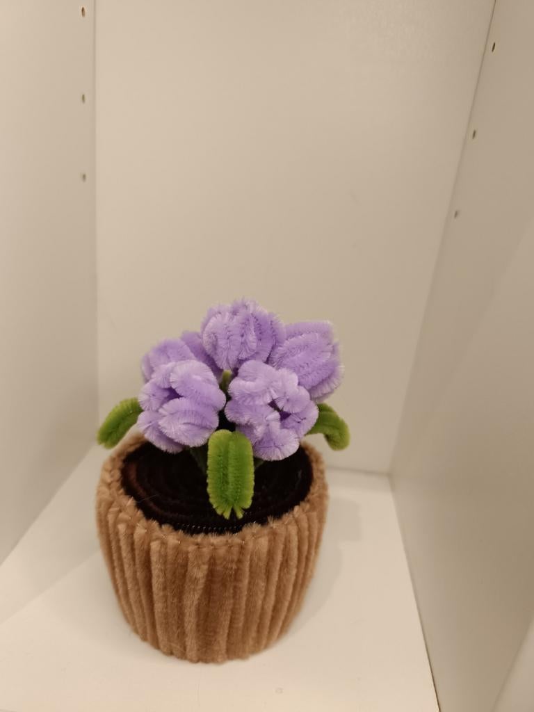 Tulpen potje, Ophalen of Verzenden