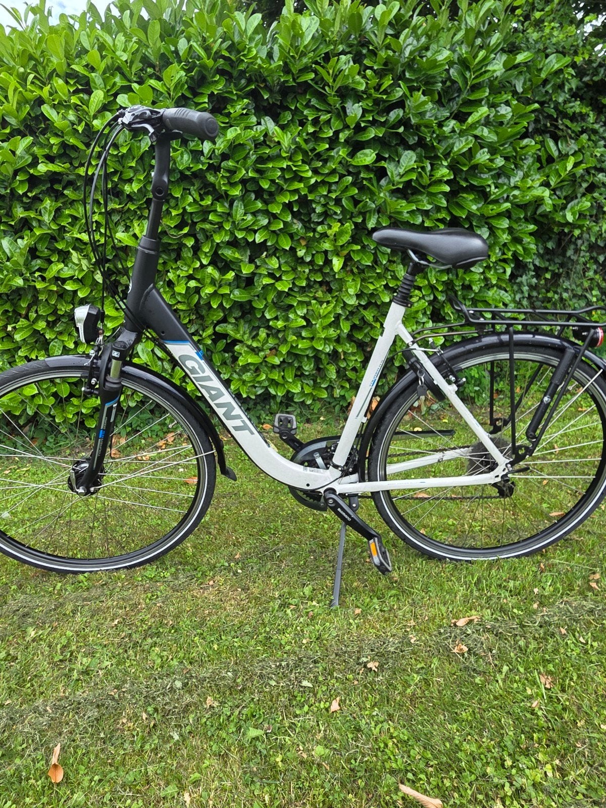 Mooie giant dames fiets, Ophalen, Giant