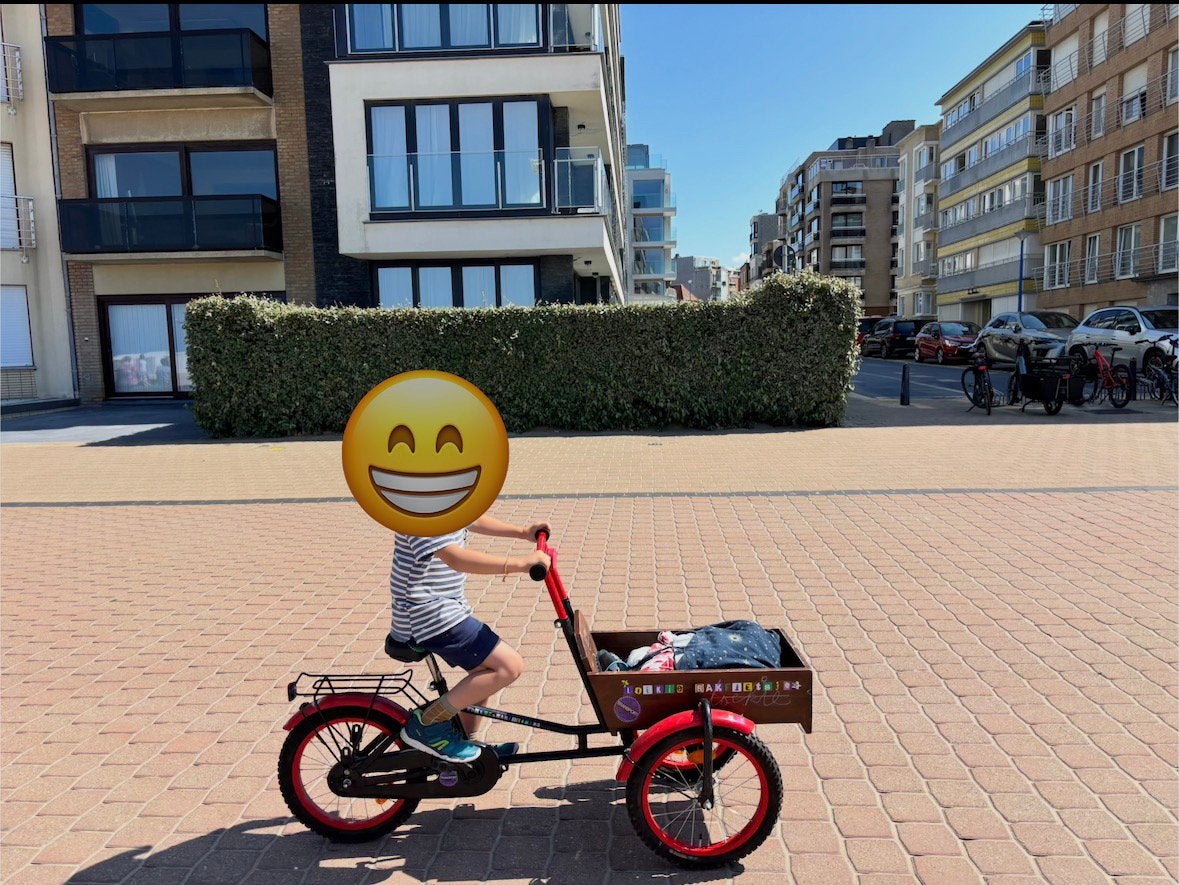 Loekie Bakfiets 16” – vélo cargo enfant, Enlèvement, Utilisé, Frein à rétropédalage, 16 à 20 pouces