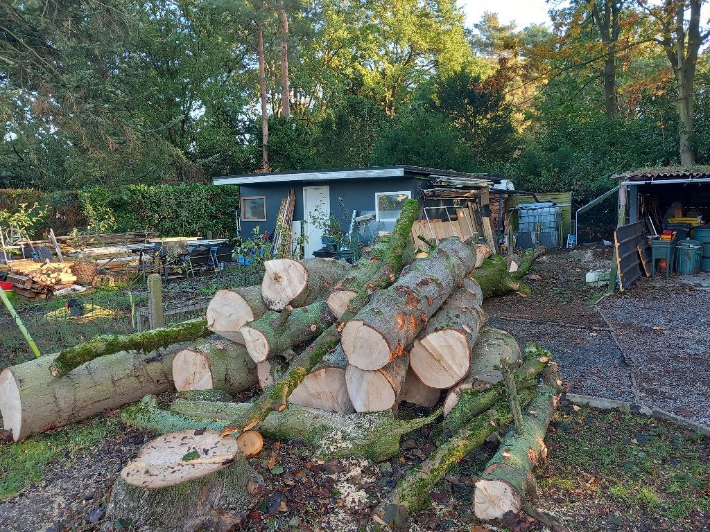 Stamhout Dougla en Noorse esdoorn (+/-54 cm), 3 tot 6 m³, Ophalen, Overige houtsoorten, Stammen