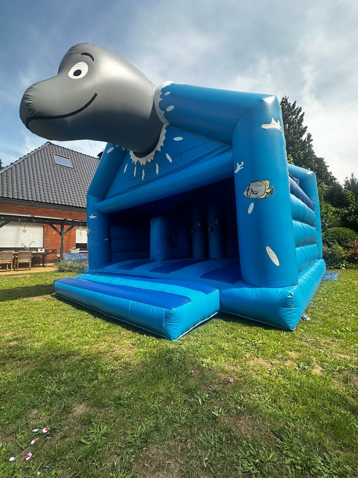 Springkasteel Dolfijn, Hobby & Loisirs créatifs, Articles de fête | Location, Enlèvement, Utilisé