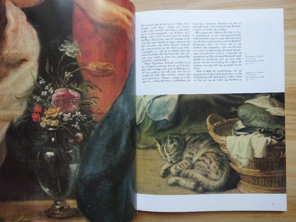 Het Rubenshuis, Antwerpen, Musea Nostra, - 1990, Ophalen of Verzenden, Gelezen, Schilder- en Tekenkunst