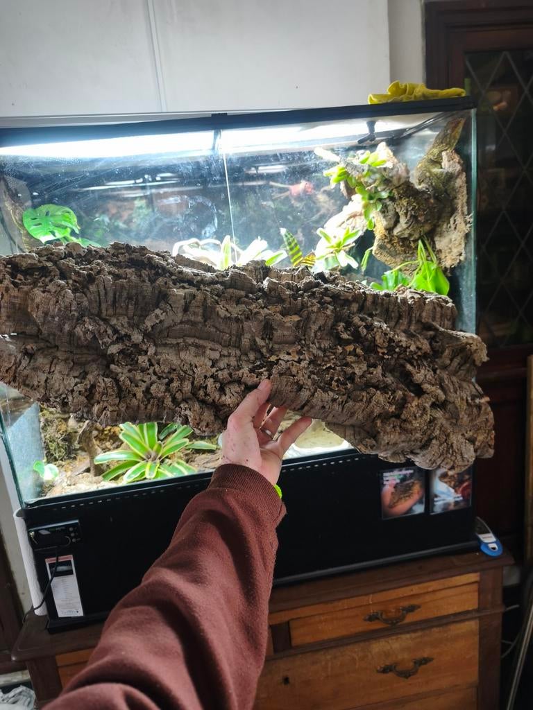 Kurkschors van hoge kwaliteit Maat L 80x30/40, Ophalen of Verzenden, Nieuw, Tak, Plant, Rots of Steen