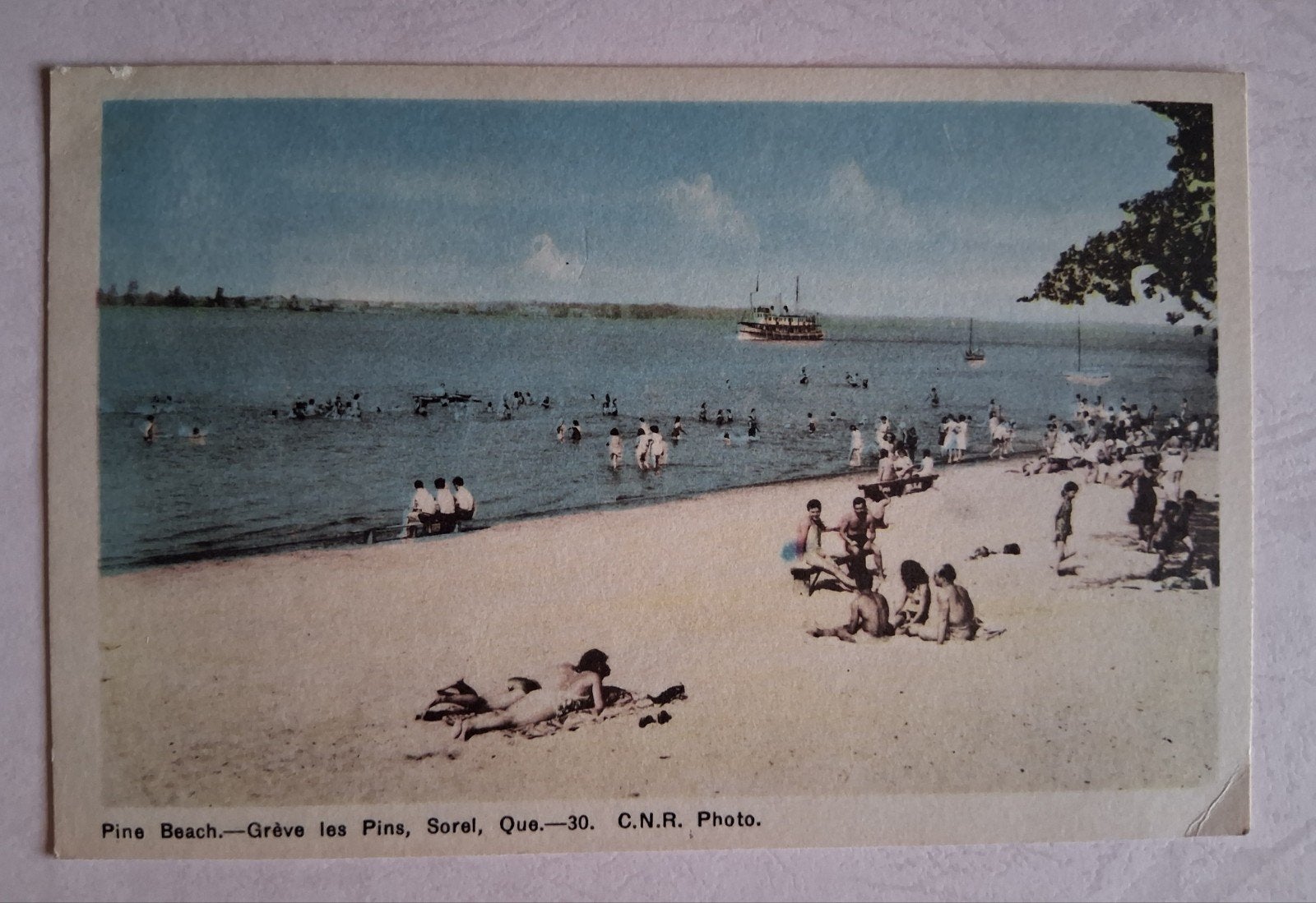 vintage Postkaart Pine Beach Quebec (Canada), Collections, Cartes postales | Étranger, Enlèvement ou Envoi