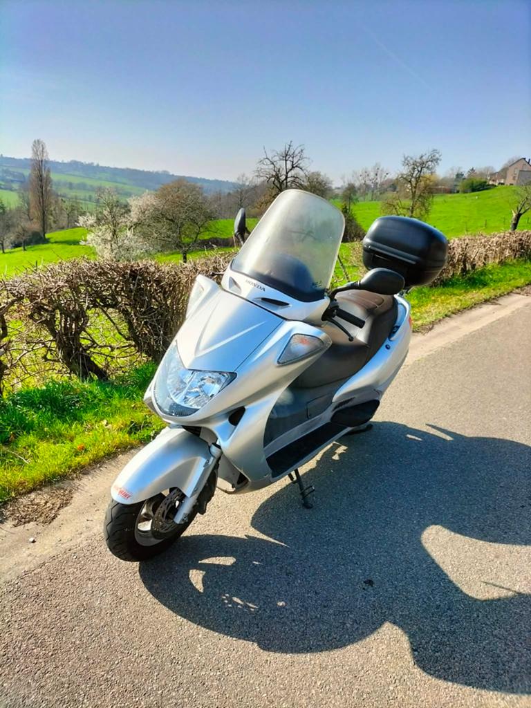 Honda FES250, Scooter, Occasion, 249 cm³