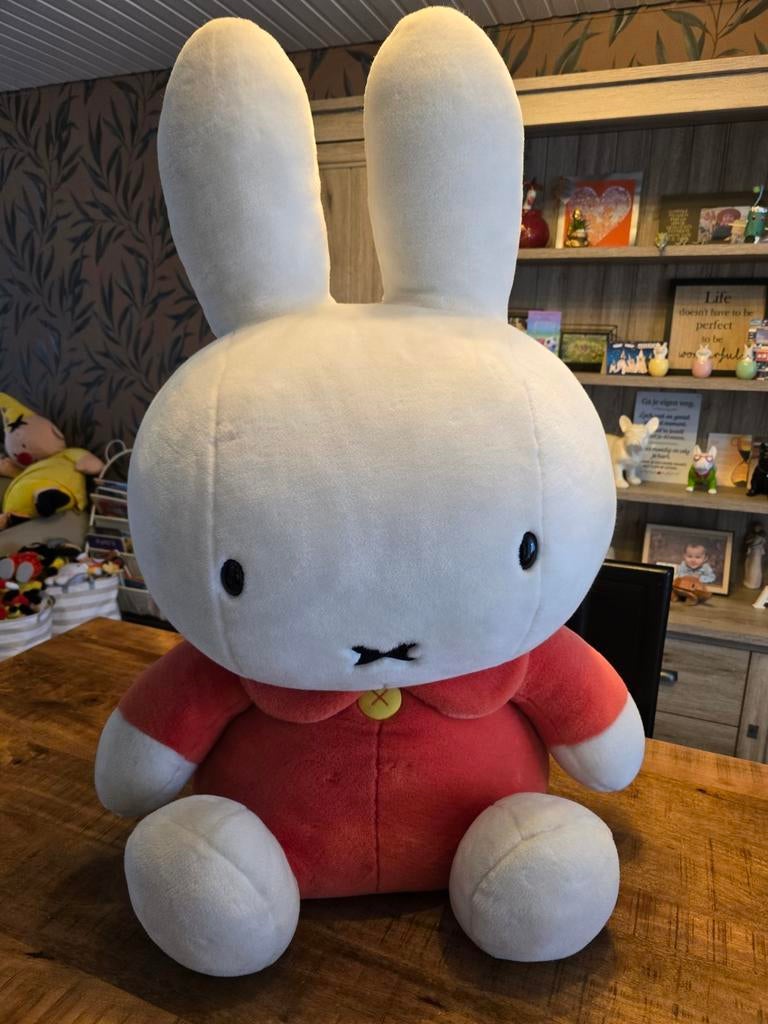 Gros câlin Miffy, Nijntje, Enlèvement