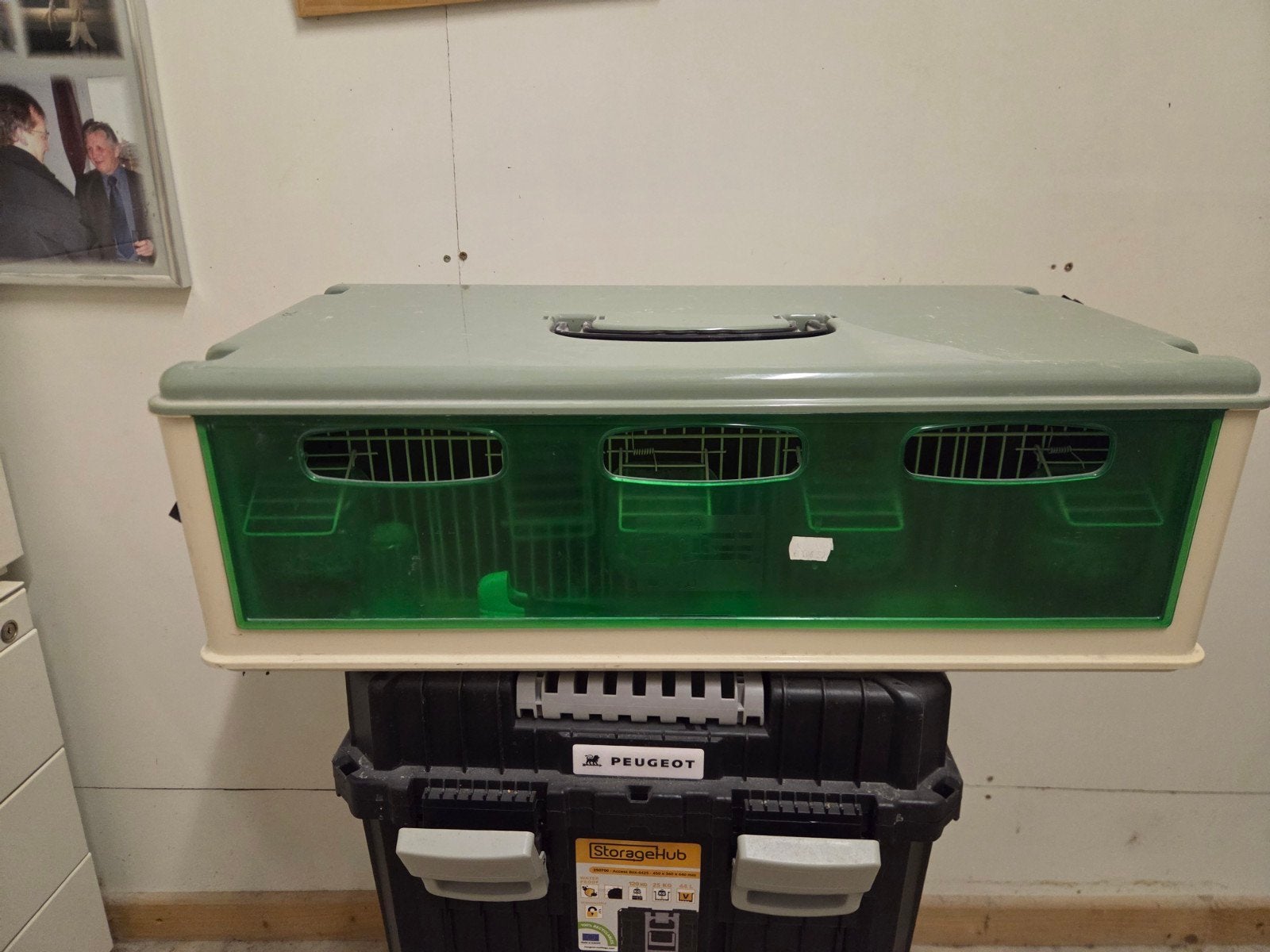 cage de transport, Enlèvement