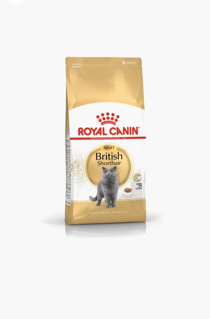 Royal Canin British Shorthair Adult 10kg kattenbrokjes, Animaux & Accessoires, Enlèvement, Chat