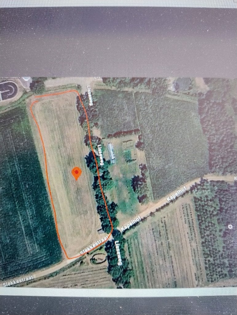 paardenweide te koop
