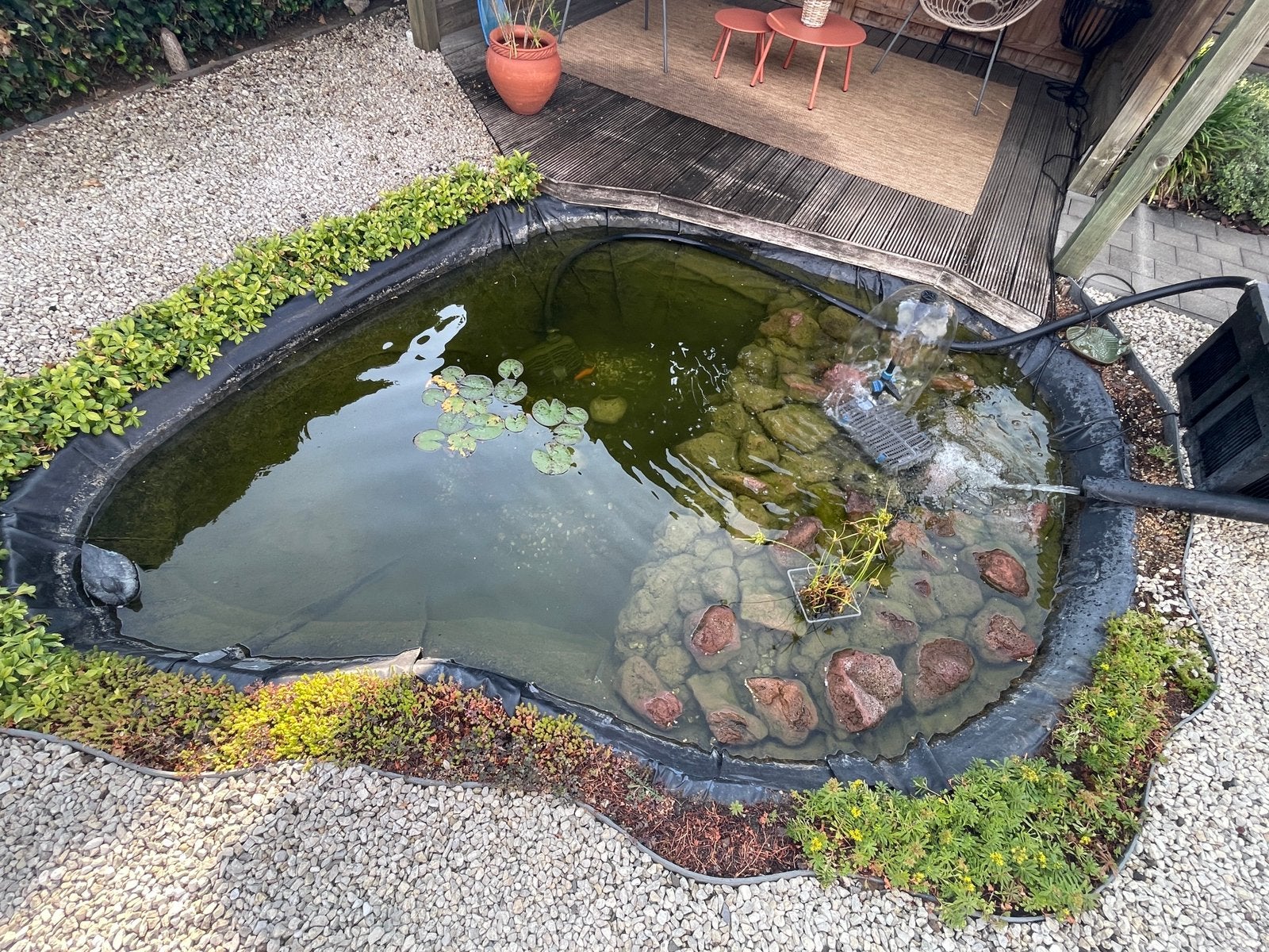 Complete siervijver met Oase filter en pomp, Tuin en Terras, Vijvers, Gebruikt, Ophalen