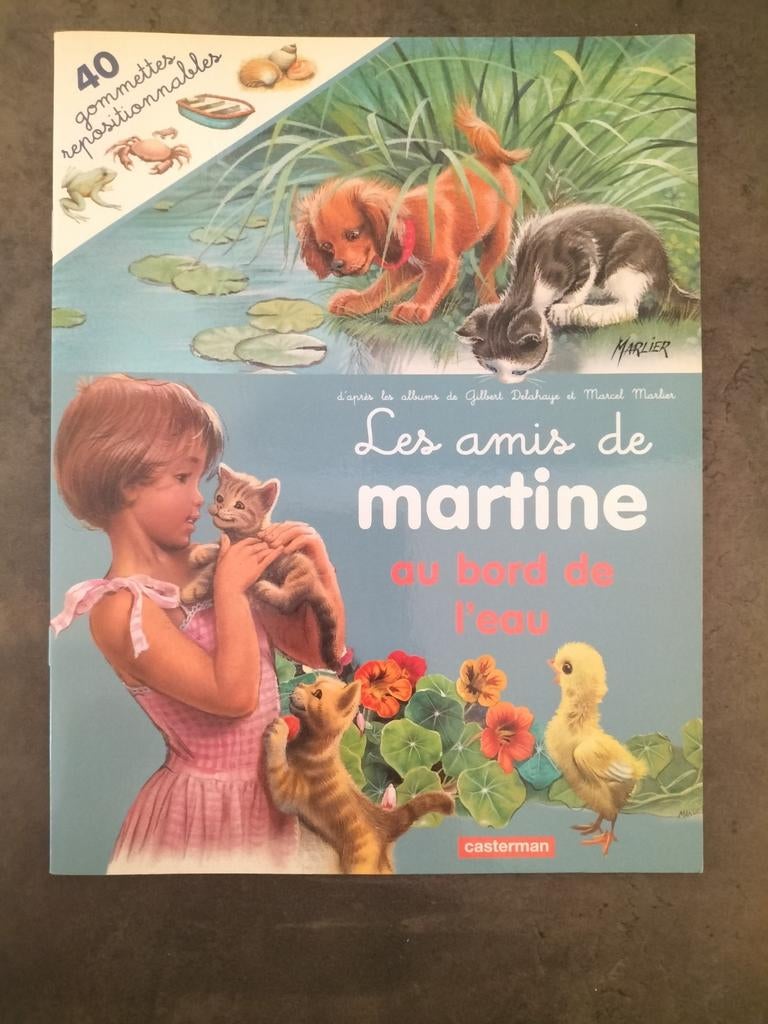 Les amis de Martine au bord de l'eau, Livres, Une BD, Enlèvement ou Envoi, Comme neuf, Casterman