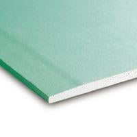 Gipsplaat Groen WR AK 250x60 cm 13mm LOT, Verzenden, BouwpuntDeWitte, Anthony@bouwpuntdewitte.be, Zo goed als nieuw