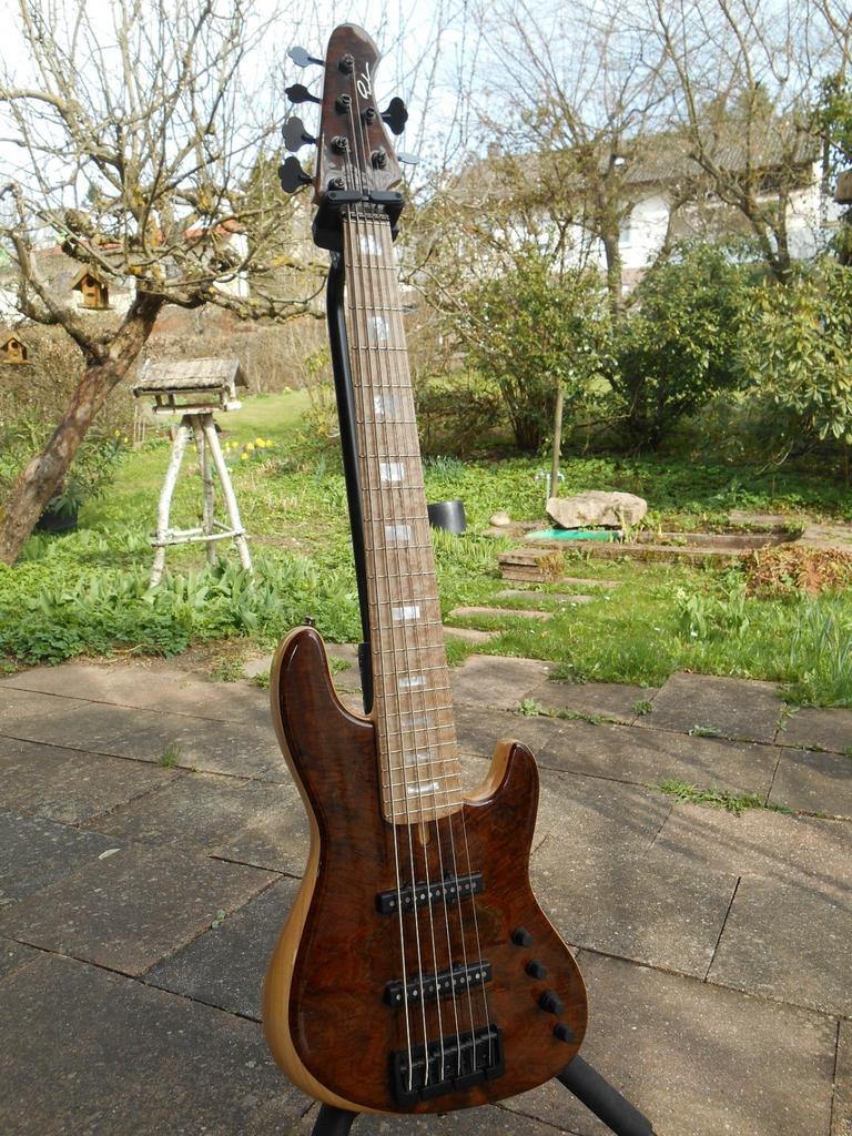 Pavel Jazz-Bass DLX Pro 6, Enlèvement